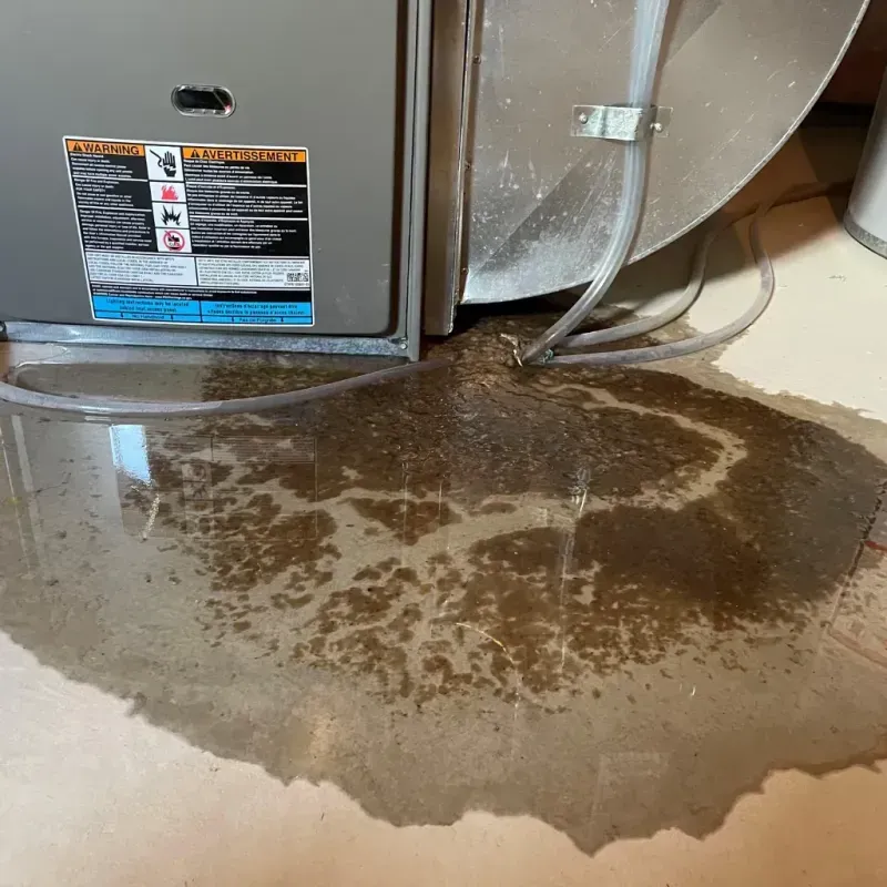 Appliance Leak Cleanup in Friedens, PA